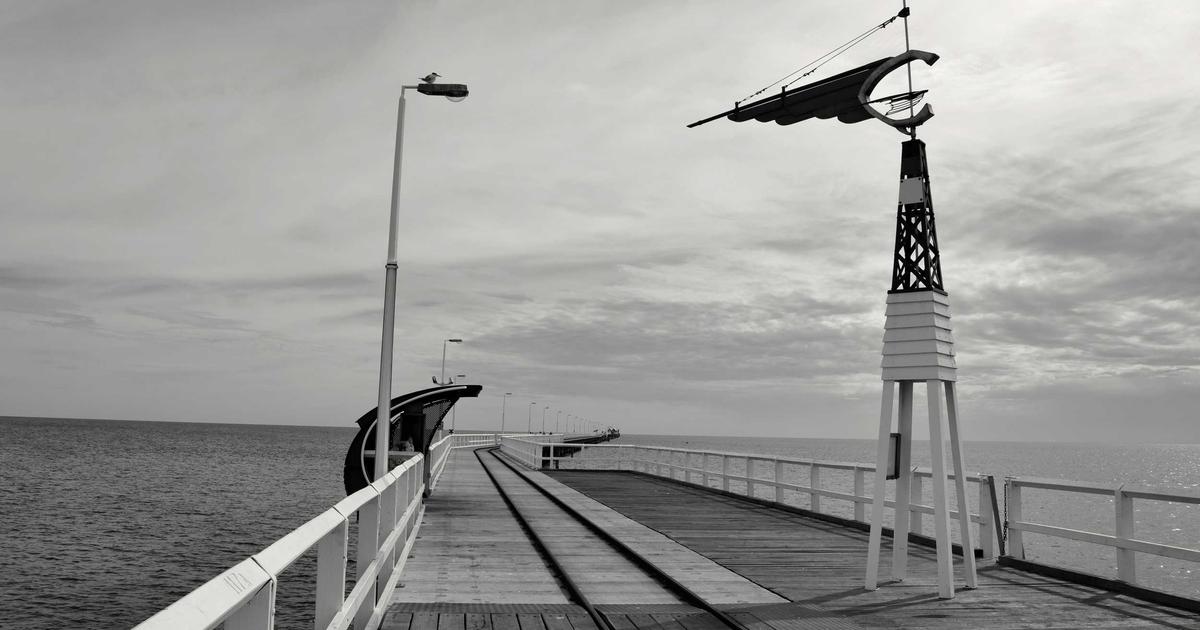 The Rise of Vector Search: From Word Embeddings to Production Systems